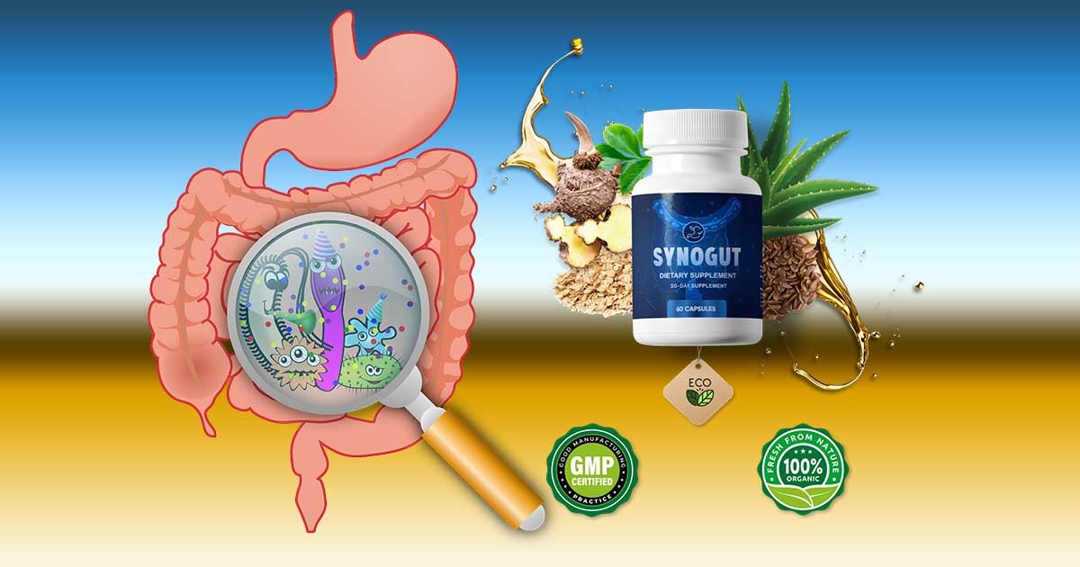 synogut pills dietary supplement for gut health