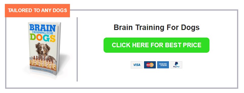 brain training for dogs online course