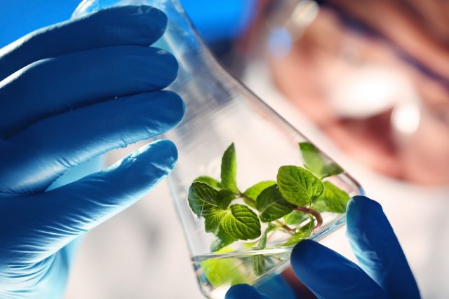 Biotechnology and Pharmaceutical Services Outsourcing Market Top Competitive Analysis 2024 – 2032