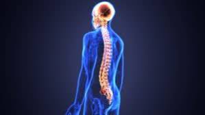 Acute Spinal Cord Injury Market Growth, Share, Opportunities & Competitive Analysis, 2024 – 2032