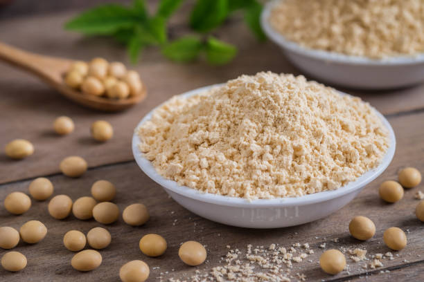 Soy Protein Market Growth, Share, Opportunities & Competitive Analysis, 2024 – 2032