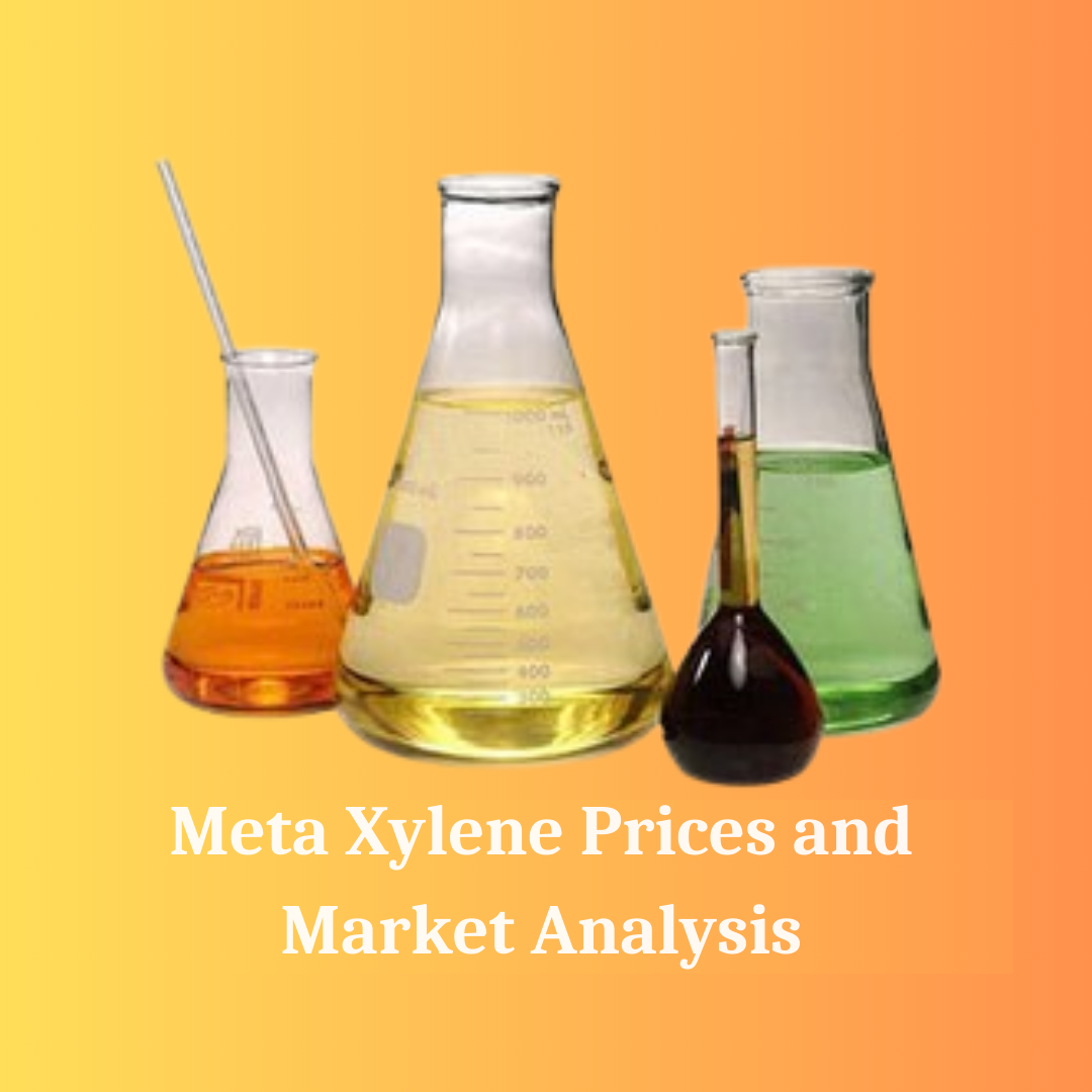 Meta Xylene Prices in 2025 What You Need to Know for Your Business