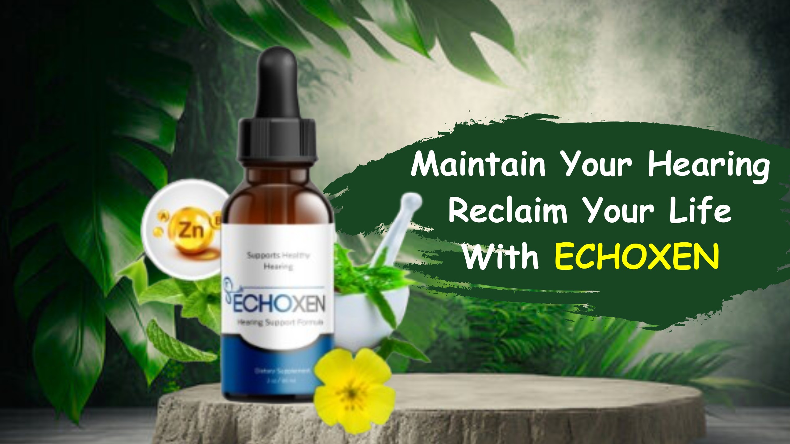 EchoXen Reviews